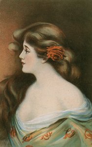 Belleza con largo cabello castaño de German School