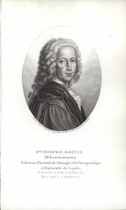 Bernhard Siegfried Albinus de German School