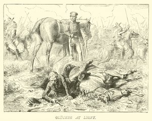 Blucher en Ligny