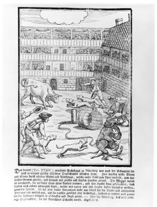 Lucha de toros y osos de German School
