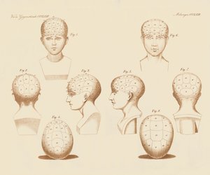 Ángulos faciales de Camper de German School