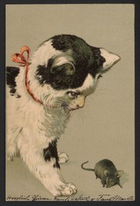 Gato jugando con un ratón (litografía en color)