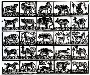Colección de animales de German School