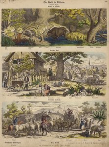 Europa: bosque en Lituania; pueblo alemán; camino rural italiano de German School