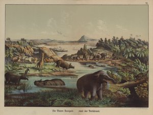Animales europeos del Período Terciario de German School
