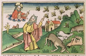 Éxodo 8 20-32 Las siete plagas de Egipto: Moisés y el enjambre de moscas, de la "Biblia de Nuremberg (Biblia Sacra Germanaica)" (xilografía coloreada)
