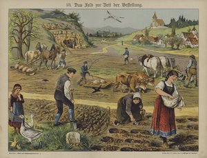 Agricultura de German School