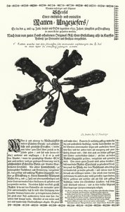 Ratas gigantes atrapadas en Estrasburgo en 1683 de German School