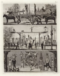 Gimnasia y acrobacias de German School