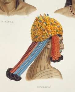 Cabeza de un hombre de la tribu Mundrucu, de Viajes en Brasil (detalle) de German School
