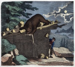 Cazador queriendo matar al oso del bosque alpino. En "Wenn Jemand eine Reise thut, so kann er was erzahlen", cuento alemán de Franz Wiedemann de German School