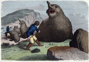Cazadores luchando contra elefantes marinos. En "Wenn Jemand eine Reise thut, so kann er was erzahlen", cuento alemán de Franz Wiedemann de German School