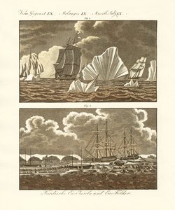 Campos de hielo e islas de hielo