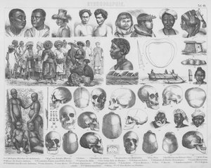 Ilustración para Bilder-Atlas: Razas y cráneos