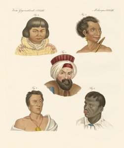 Ilustración de las principales razas humanas