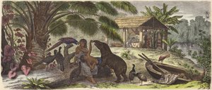 Casa india en el río Orinoco de German School
