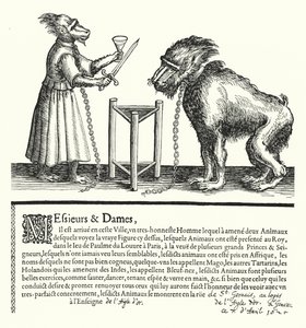 Invitación a una exposición de simios y monos de German School