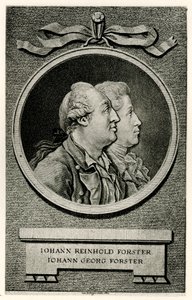 Johann Georg Forster de German School