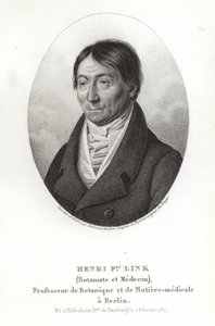 Johann Heinrich Friedrich Link de German School