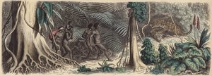 Selva en Brasil de German School