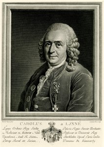 Carlos Linneo