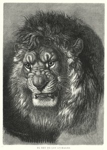 León: rey de los animales de German School