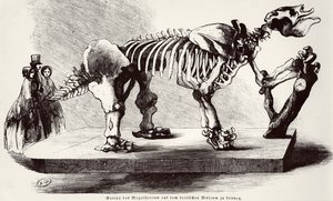 Esqueleto de Megatherium en el Museo Británico de German School