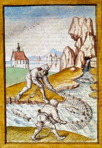 Pesca con red en miniatura de una traducción alemana de las fábulas de 
