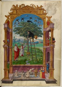 Ms Harley 3469, f.15 Árbol dorado con corona, la Otra Parábola, de 