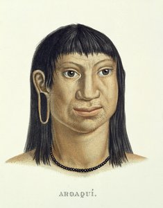 Hombre nativo de la tribu Aroaqui, del Atlas de un viaje en Brasil de Johann Baptist von Spix (1781-1826) y Karl Friedrich Philipp Martius (1794-1868), publicado c.1835-50 de German School