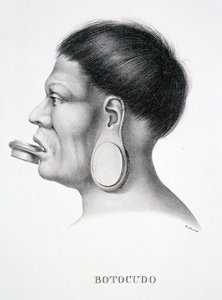 Hombre nativo de la tribu Botocudo, con decoración facial de tapón, del Atlas de un viaje en Brasil por Dr. von Spix y Dr. von Martius de German School