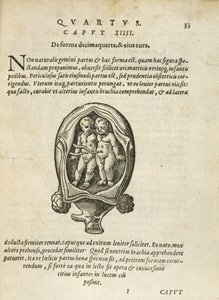 Gemelos no idénticos en el útero, ilustración del capítulo 14, Libro 4 de Sobre la Concepción y el Crecimiento del Hombre por Rueff, 1587 de German School