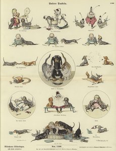 Nuestros Dachshunds