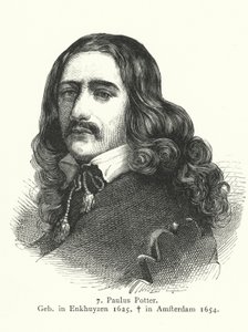 Paulus Potter, pintor de la Edad de Oro neerlandesa (grabado)