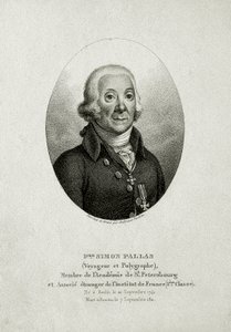 Peter Simon Pallas (1741 – 1811) de German School