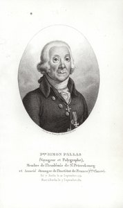 Peter Simon Pallas de German School