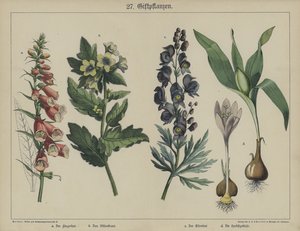 Plantas de German School