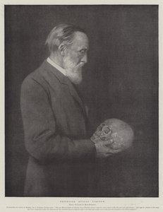 Profesor Rudolf Virchow (litografía)