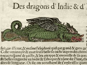 Representación de un dragón de la India. Xilografía tomada de la Cosmografía Universal de Sebastien Munster. Bale de German School