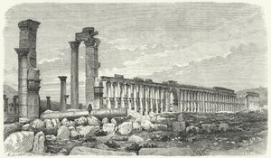 Ruinas de la ciudad de Palmira, Siria de German School