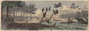 Sudamérica: estuario en Guyana de German School