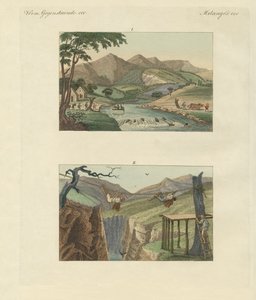 Puentes de cuerda sudamericanos de German School