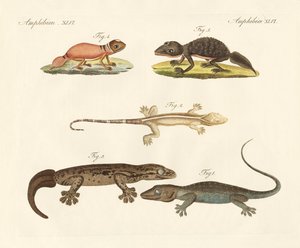 Dinosaurios extraños