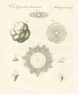 Granizos extraños de German School