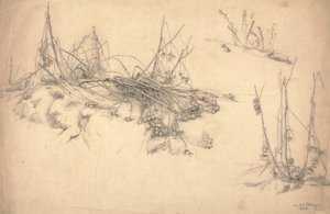 Estudio de un cardo, 24 de marzo de German School