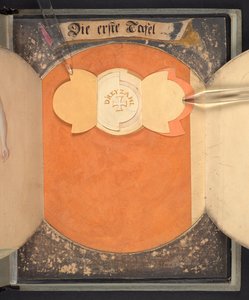 Tablas que representan al hombre en tres estados diferentes de German School