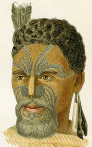 Cara tatuada de un jefe maorí, 1894 de German School
