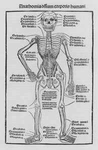 El Libro de Cirugía de Hieronymus Brunschwig de German School