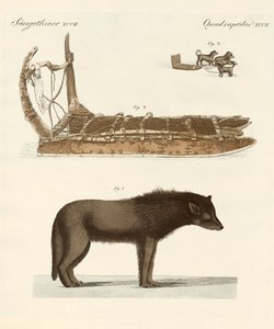 El perro de la Bahía de Baffin de German School