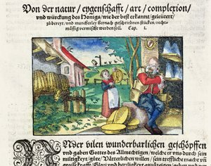 Los usos curativos y terapéuticos de la miel en la Medicina, ilustración de un tratado alemán sobre medicinas publicado en Estrasburgo en 1573 (xilografía coloreada) de German School